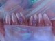 クオーリ(Cuori)の写真
