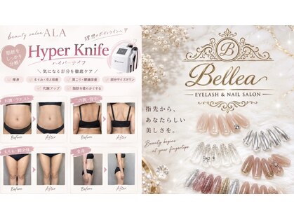 アーラ アンド べレア(ALA & Bellea)の写真