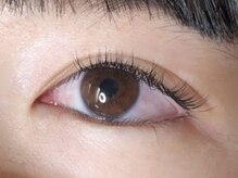 ウルカ アイラッシュ(uruka EYELASH)/フラットラッシュ 160本