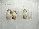 【パラジェル】モードネイル