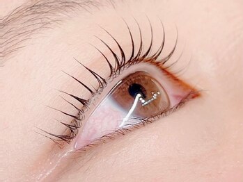 スズアイラッシュ(suzu eyelash)/まつ毛カール