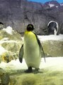 栄光治院 豊田院&nbsp;水族館が好きです！ペンギンかわいいですよね♪[肩こり/腰痛]