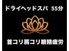 【スタンダードコース】ドライヘッドスパ　55分　¥7,500