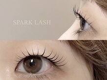 スパークラッシュ(SPARK LASH)の雰囲気（まつげ美容液も豊富にご用意しております。[銀座/有楽町]）