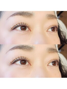 アール(R.)/フラットラッシュ　130本