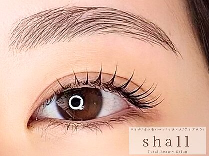 シャール(shall)の写真