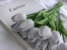 カリーノ(Carino)/毎月キャッシュバックデーあり