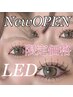 《New Open》限定価格【アイ】まつげパーマトリートメント付き　6600円　60分