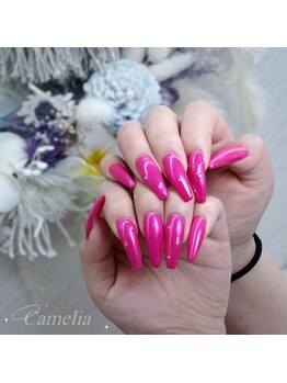 カメリア(Camelia)/