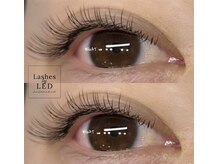 ウィート(WHeAT)/フラットラッシュ