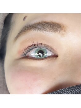 ホワイトカメリア 梅田茶屋町店(White Camellia)/まつ毛パーマ/マツエクサロン