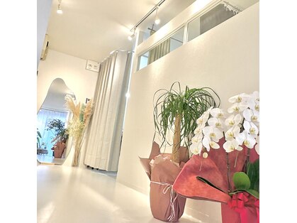 ジュレイ(JuRey)の写真