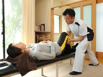 ティーエムエスカイロプラクティック(TMS)/頭のてっぺんから足の先まで。