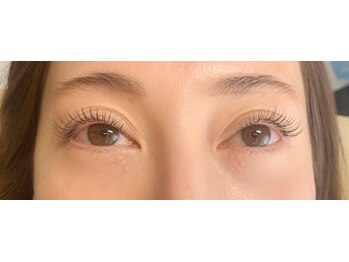 アンドリタ/フラットラッシュ120本