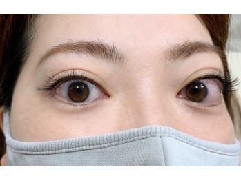 ルピナス(Lupinus)/ボリュームラッシュ400本