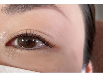 サン(SUN)の写真