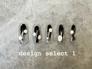 デザインセレクト1【定額】