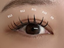 リブレ(Libre)/ダブルフラット80束(160本)