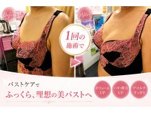 サロンドフェリーチェ(Salon de Felice)