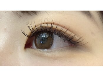 ペルシャ(Persian)/バレンタインクーポン[若葉]