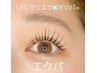 マツエクとマツパのいいとこ取り！エクパ☆80本¥15400→¥11000