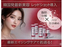 トータルエステサロン エステアンドメイク 錦糸町/最新韓国発　レッドショット