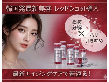 トータルエステサロン エステアンドメイク 錦糸町/最新韓国発　レッドショット