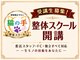 猫の手の写真/＼整体スクール開講／"猫の手"借りる側から、貸せる人へ。人に喜ばれながら一生使える技術が身につく！