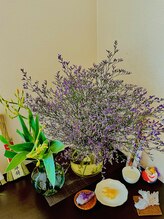 アフェットレガーレ 京都三条店(affetto legare)/スターチスに変わりました！