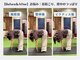 ファクト(fact)の写真