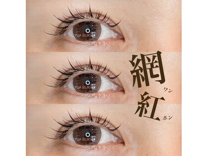 ジラソル(girasol)の写真