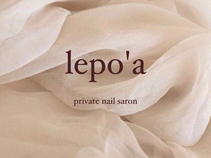 レポア(lepo a)の写真