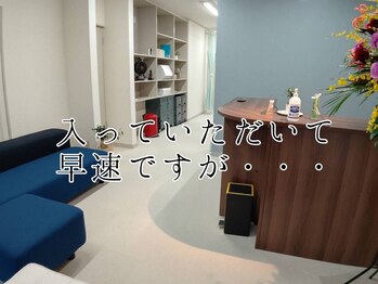 ホグステ/入り口からのカウンター