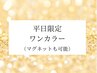 【平日限定/Jrネイリスト】フィルイン込◎300色から選ぶワンカラー/¥4400