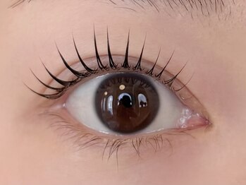 ミラー(MIRROR)/上まつ毛パーマ/ラッシュリフト