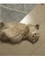 アディクト 大阪プラザ梅田店(ADDICT)&nbsp;愛猫です[梅田眉毛サロン/メンズ/眉毛パーマ/美眉/スタイリング]