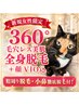 【新規女性】360°毛穴レス美肌全身脱毛＋顔VIO眉周り小鼻徹底¥30000→¥17500