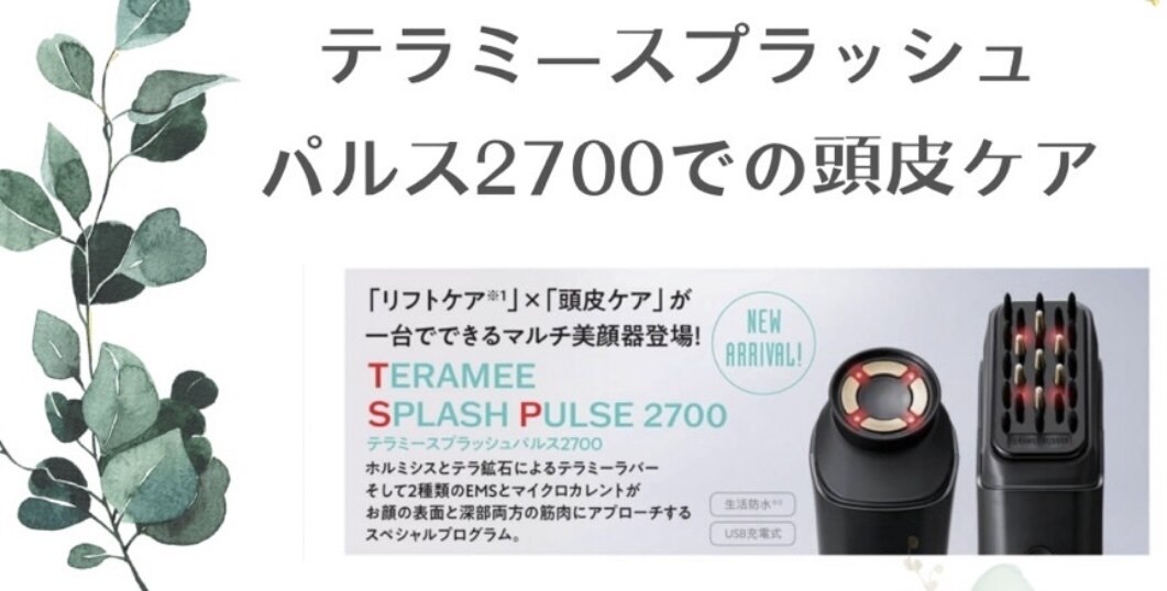 テラミースプラッシュパルス2700