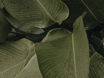 ガーデン 豊中(GARDEN.)/まつげパーマ/まつ毛パーマ/豊中