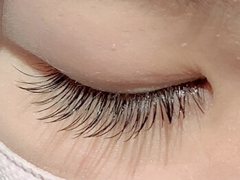 カラン 焼津店(CALIN)/フラットラッシュ100本