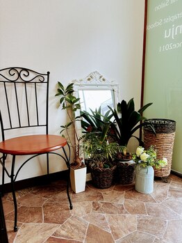 アンジュ(anju)/玄関