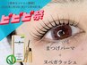 【ビビビ祭】韓国風束感まつげパーマ+ヌベガラッシュ!