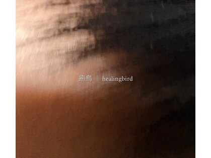 ヒーリングバード(healingbird)の写真