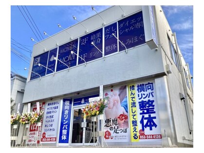 モミ(MOMI)の写真