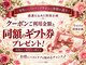コモド(COMODO)の写真