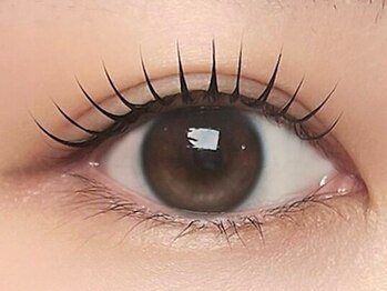 まつげエクステサロン プリューム アイ ビューティー 表参道店(PLUME EYE BEAUTY)の写真/トリートメント付まつげパーマ5500円、ブラックティントマツパやアンドヘルシーも有♪束感仕上げもOK！