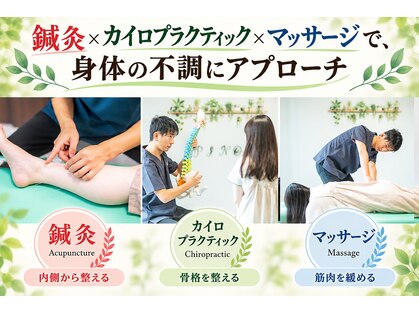 はり きゅう ピノ(はり きゅう PINO)の写真