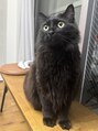 アオ 新横浜(ao) サロンの名前の由来の黒猫のアオです♪よろしくお願いします^ ^