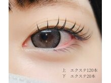 アプリエ(Aplier)/上下フラットラッシュ