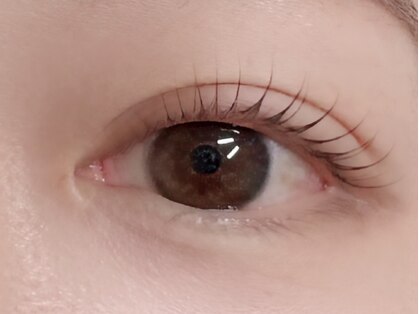 リシェル(Richel)の写真
